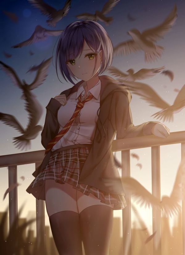 Anime school girl cute birds short