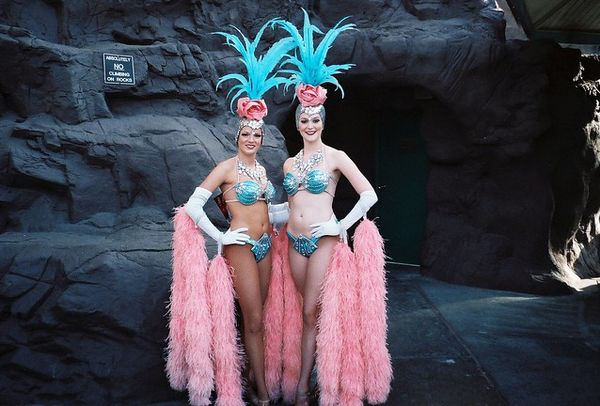 Vegas Showgirls at Tropicana Casino - Bing images