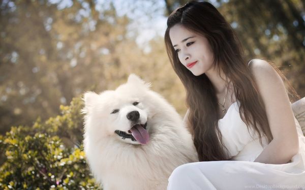Beautiful Lady With Her Dog Uhd Wallpapers Ultra High Defini