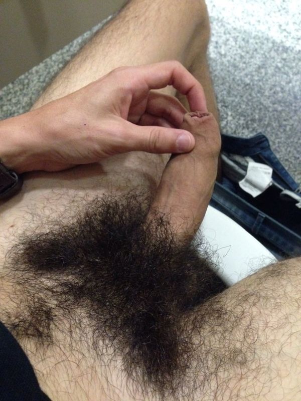 Free pictures of hairy male