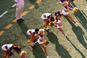 Texans Ravens Cheerleaders - Free