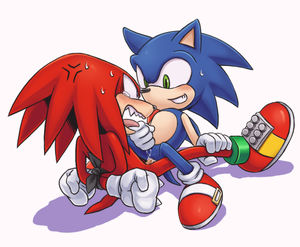 g / sotainux (sonic tails and knuckles)
