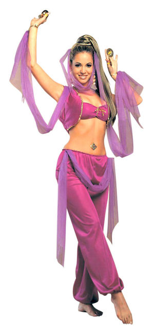 Arabian Princess Belly Dancer Costume