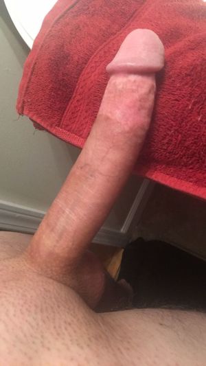 big dick cock towel' Search