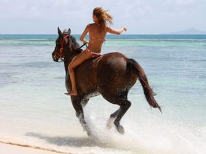 horseback ride on the beach Bucket List