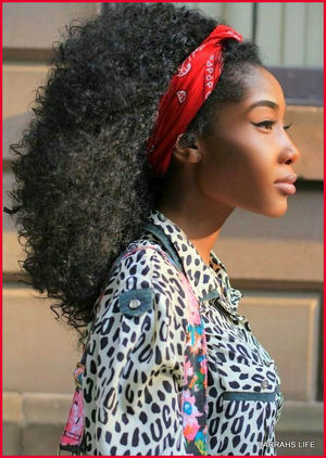 Black Teenage Girl Hairstyles 49224 the