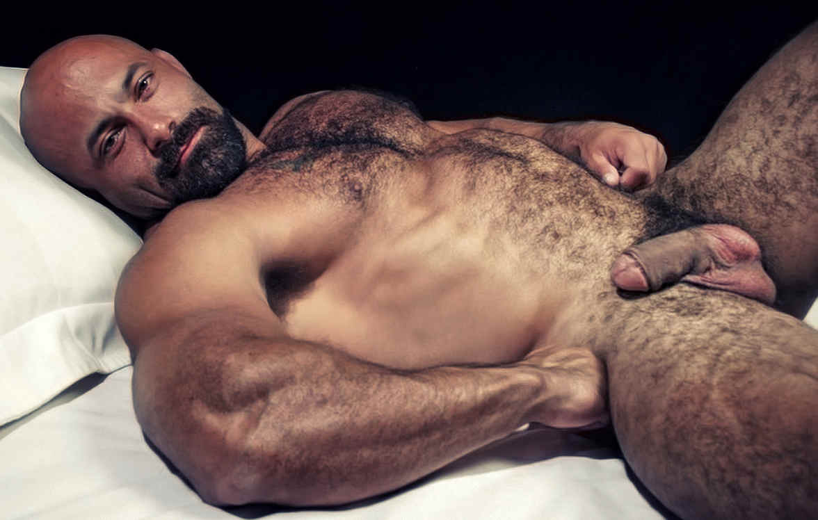 Sexy Naked Hairy Bear