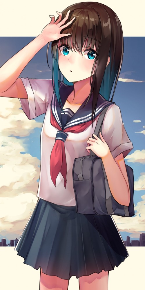 Download 1080x2160 Anime School Girl, Clouds, Brown Hair Wal